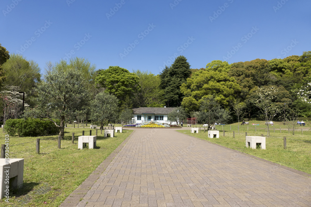 東京 代々木公園 新緑 青空 春 4月 広場 芝生 花壇 建物 Stock 写真 Adobe Stock