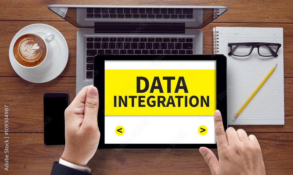 DATA INTEGRATION DATA INTEGRATION