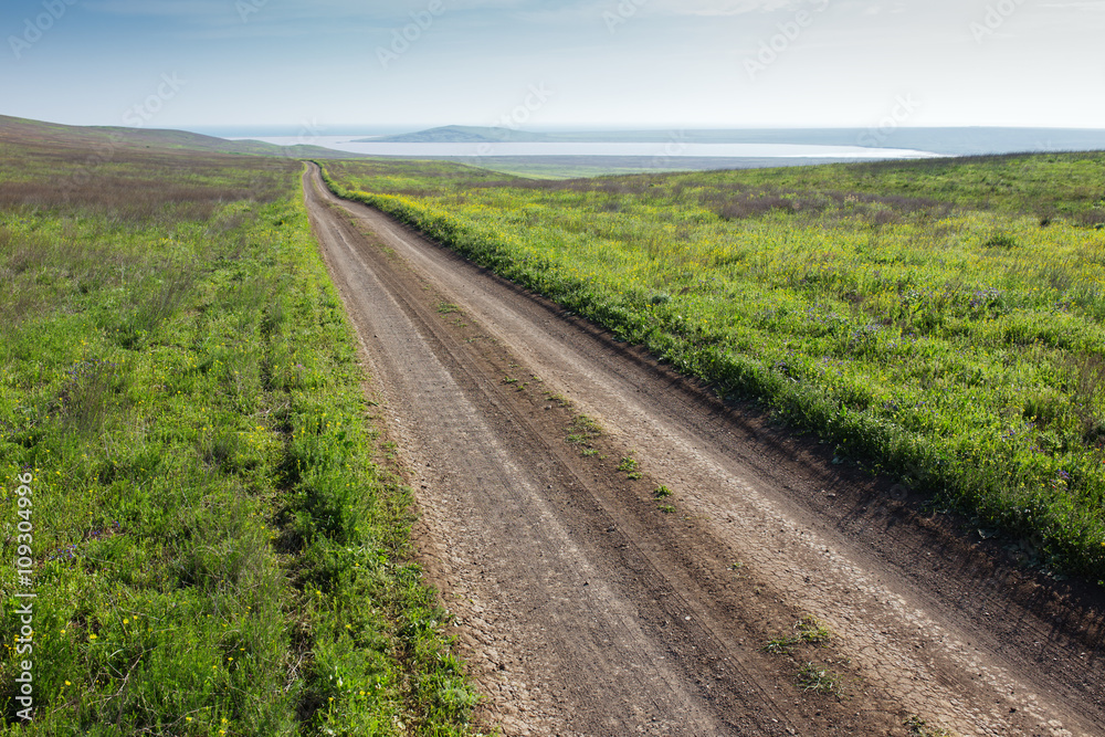 Dirt road in field leading to the sea