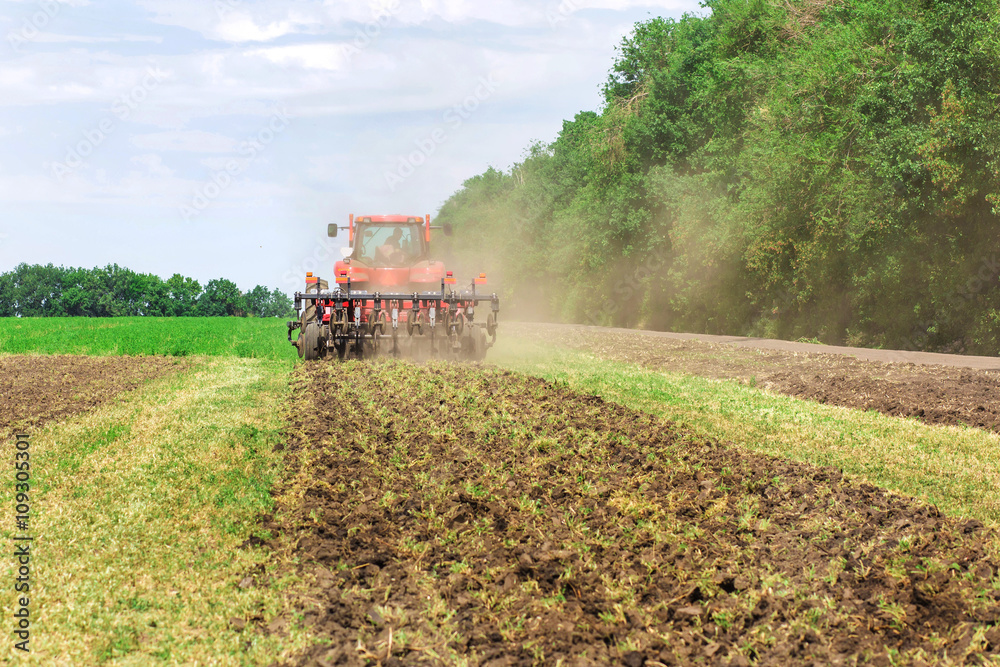 Fototapeta premium Modern tech red tractor plowing a green agricultural field in spring on the farm. Harvester sowing wheat.