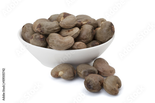 Brazilian Caju seed or Cashew seed