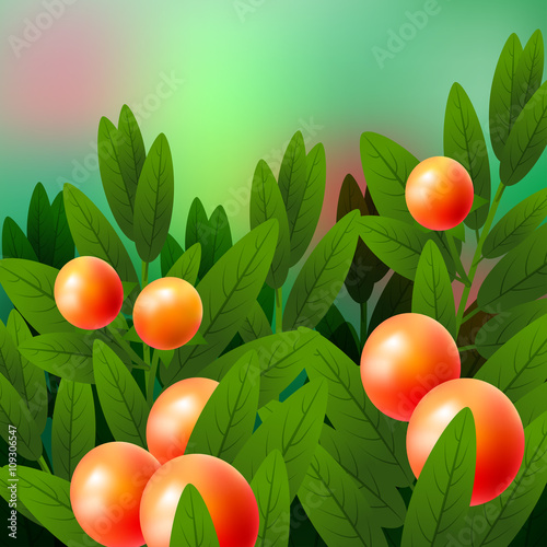 Vegetable and Herb, An Illustration of Fresh Ripe Solanum Stramonifolium Jacq. Vector photo