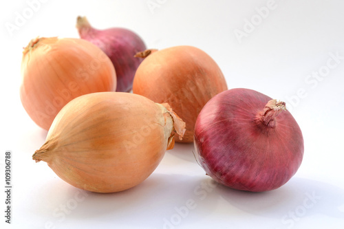 Onion vegetable bulbs 