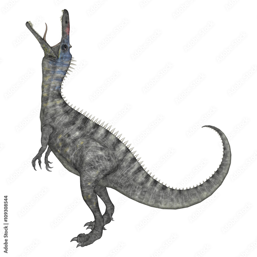 Fototapeta premium 3D Rendering Dinosaur Suchomimus on White
