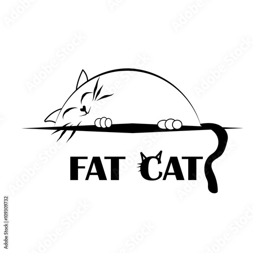 Fat cat
Lazy fat cat sleep on a shelf
