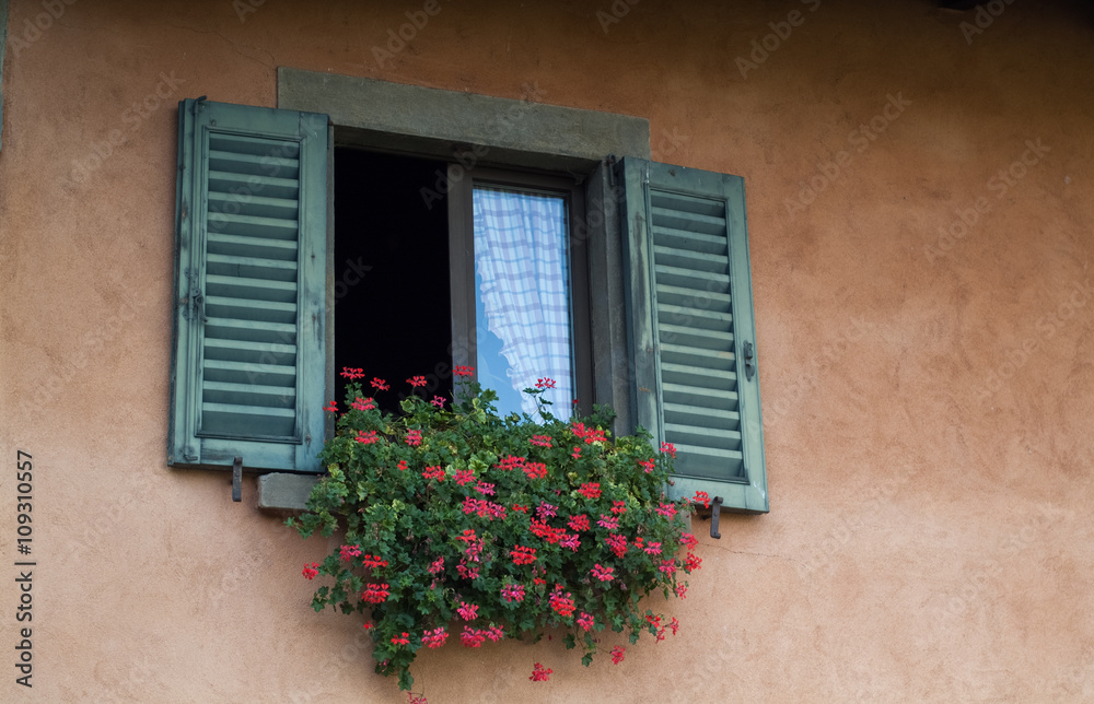 Flowers in the Window