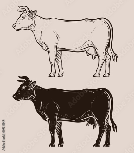 dairy cow vector logo. farm, livestock, milk icon
