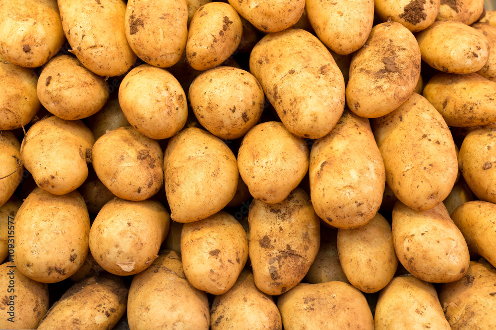 Hintergrund aus reifen, sauberen Kartoffeln Hintergrund aus reifen, sauberen Kartoffeln