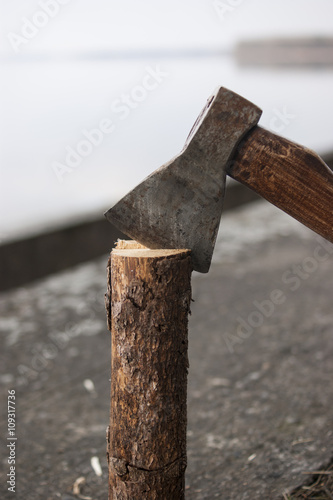 Axe in log