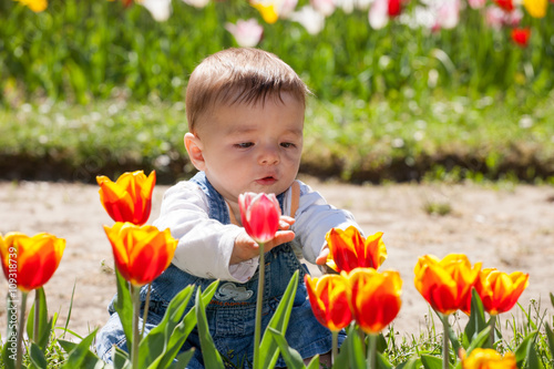 Adorable baby playing with tulips