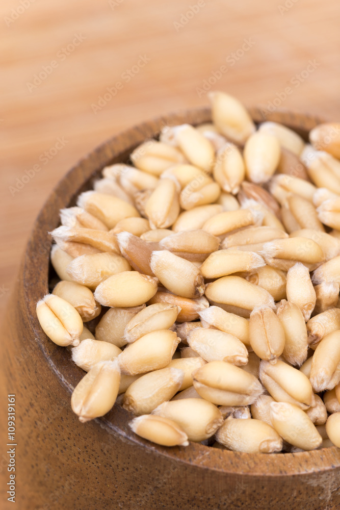 Closeup macro wheat grains background agriculture Closeup macro wheat grains background agriculture