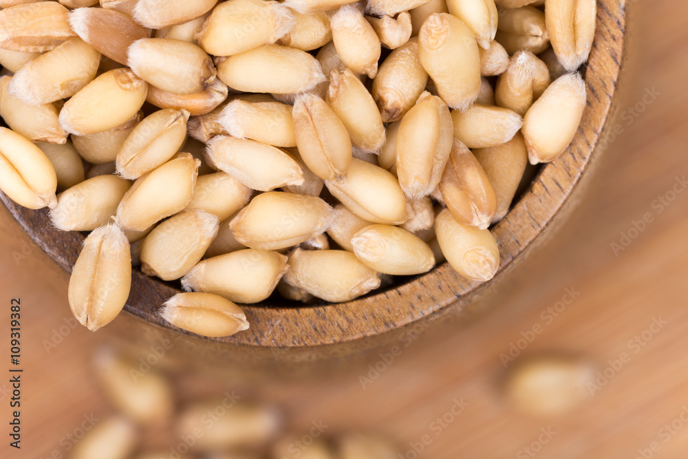Closeup macro wheat grains background agriculture Closeup macro wheat grains background agriculture