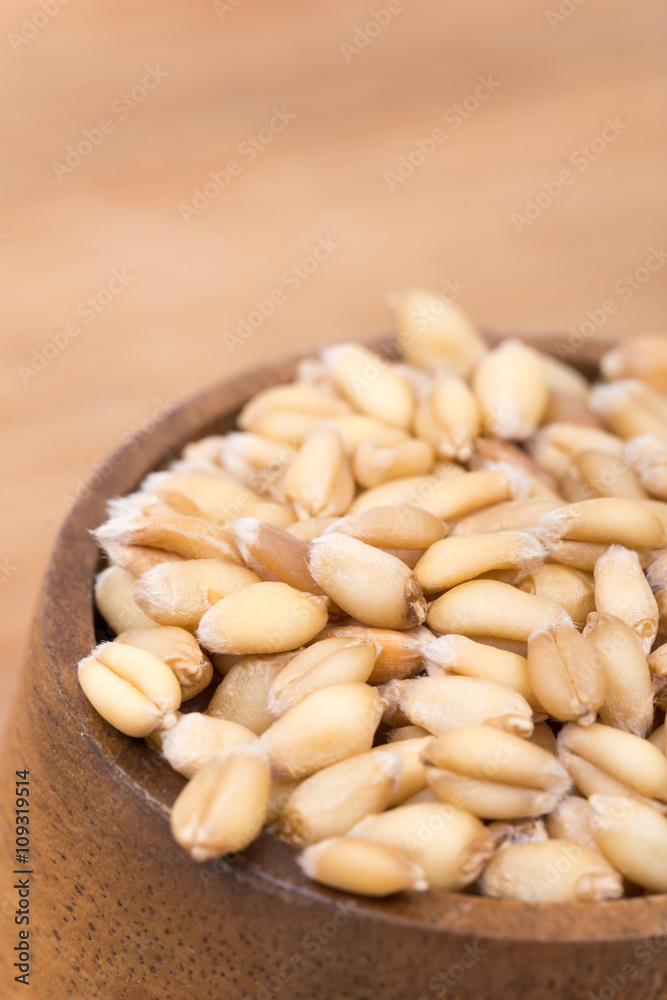 Closeup macro wheat grains background agriculture Closeup macro wheat grains background agriculture