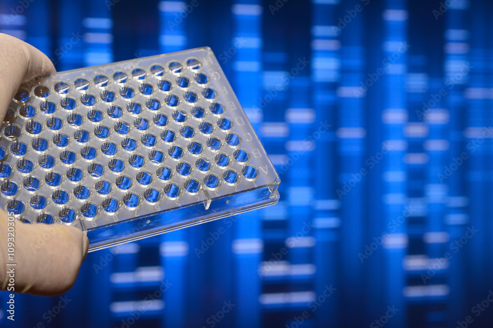 The DNA testing. The DNA testing.