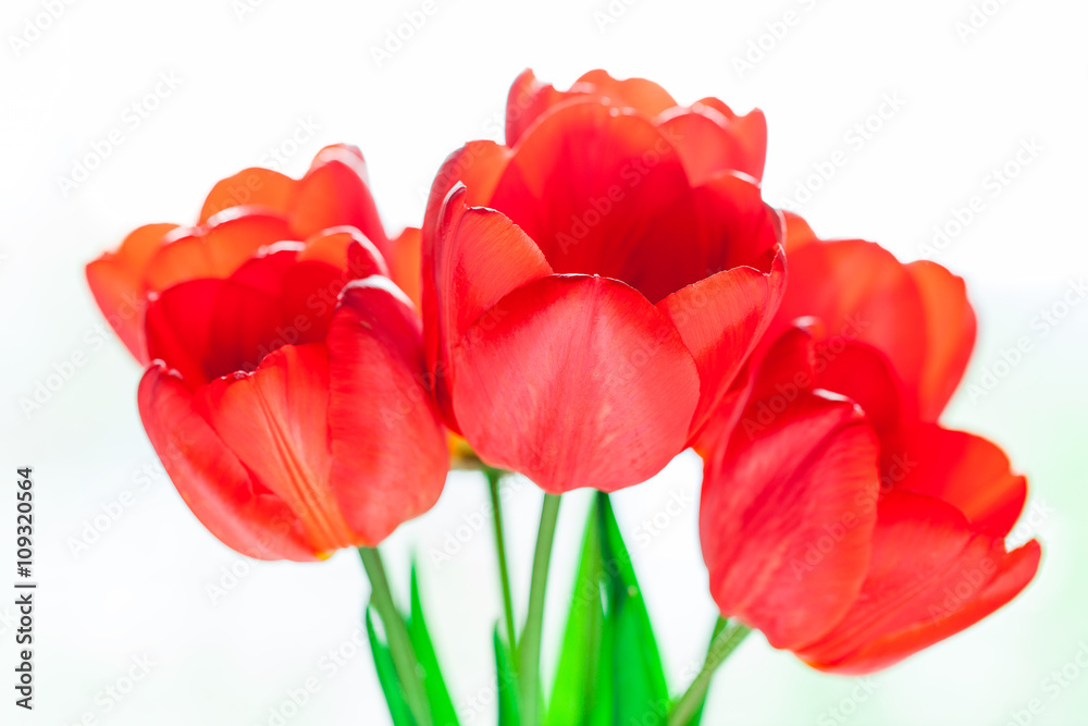Fototapeta premium Colorful tulips on wooden table