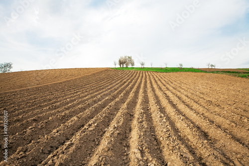 plowed field and cloudy sky in sunset