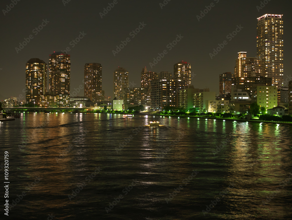 Fototapeta premium 東京の夜景
