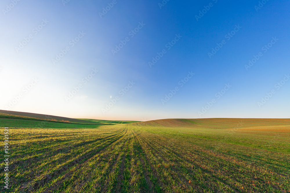 Green Field and Beautiful Sunset