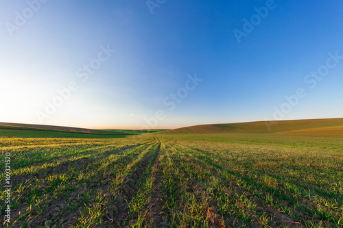 Green Field and Beautiful Sunset