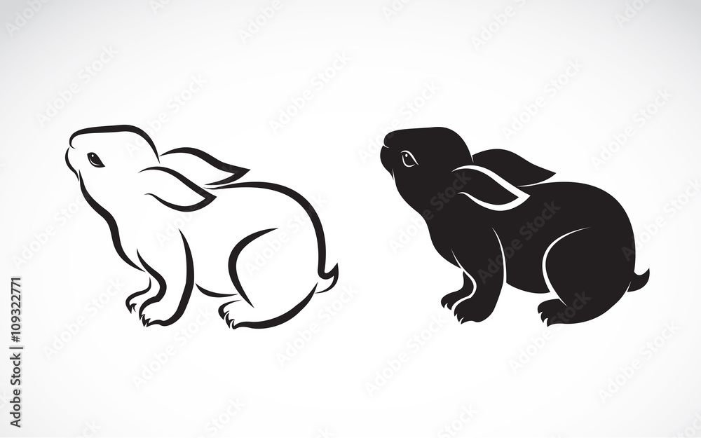 Fototapeta premium Vector image of an rabbit design on white background