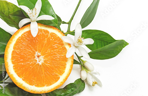 Half Orange Fruit with leaves and blossom isolated on white back photo