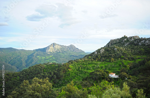 Parque Natural de los Alcornocales, Sierra Crestellina, provincia de Málaga, España photo