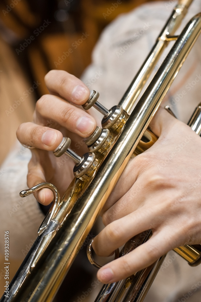 Obraz premium Hands closeup of a musician playing a trumpet