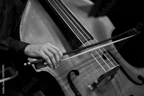 Human Hand playing the contrabass in black and white 