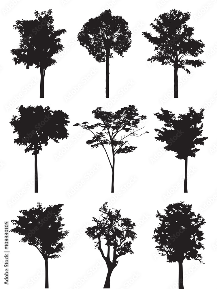Obraz premium Tree silhouette vector.