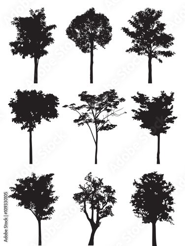 Tree silhouette vector.