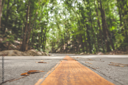 фотографія Close up on empty concrete road with orange line  and yellow leaves lying on it