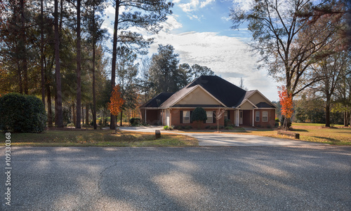 Картината върху платно Residential House in North Florida