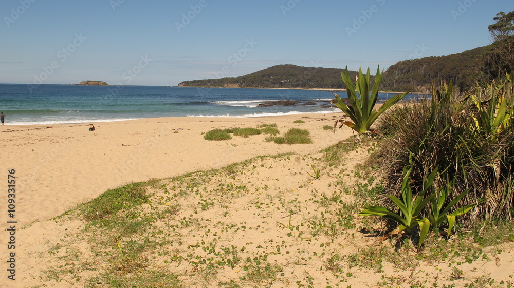 Pebbly Beach near Shoalhaven, NSW, Australia
Pebbly Beach near Shoalhaven, NSW, Australia