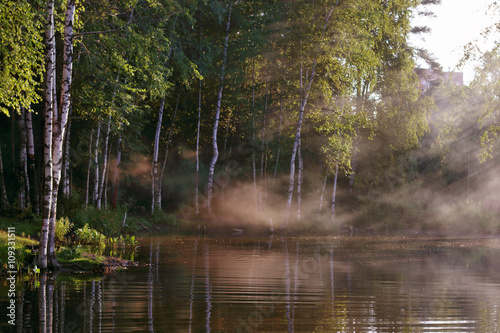 Beautiful surface of pure lake with steam above water and trees © singulyarra