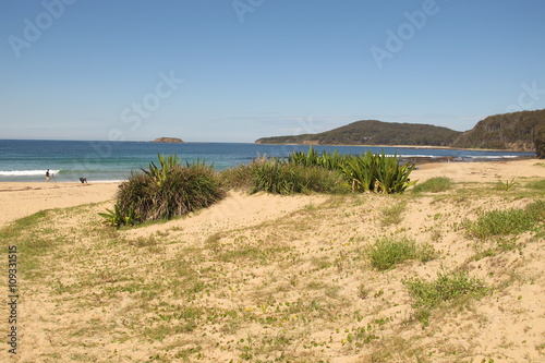 Pebbly Beach near Shoalhaven  NSW  Australia  