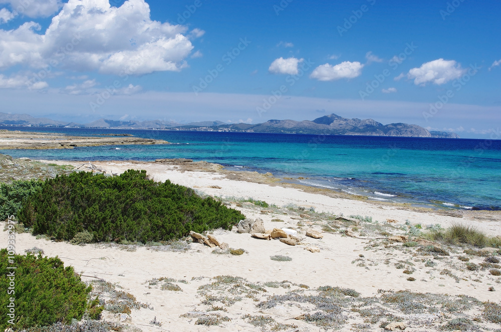 Coastline and sand beach on the north coast of the Mallorca between Can Picafort and Son Serra de Marina. Mallorca, Balearic Island, Spain. 
