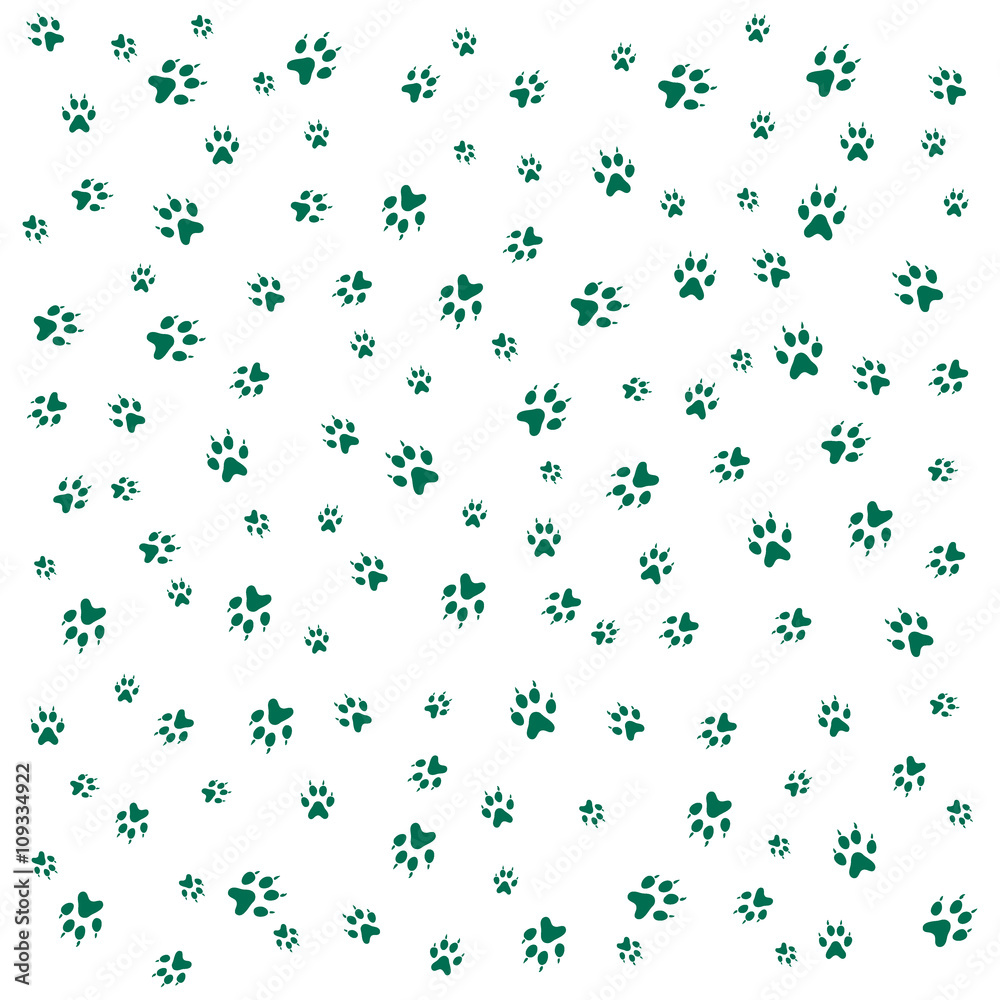 Nice picture of wild animal traces Nice picture of wild animal traces