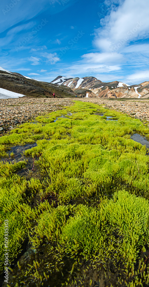 Obraz premium Landmannalaugar