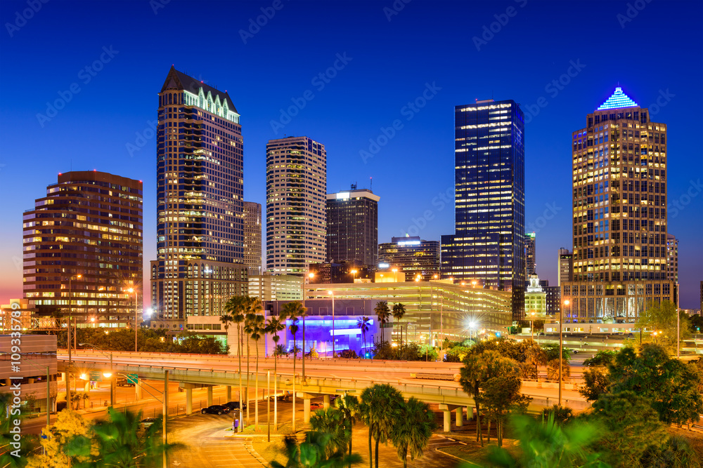 Obraz premium Tampa Florida Skyline