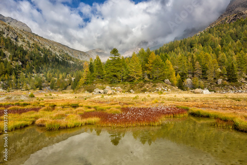 Autumn in Preda Rossa, Valtellina (Sondrio, Italy)