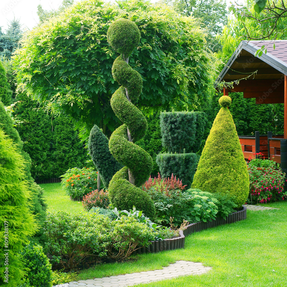 Fototapeta premium Strzyżone rośliny ozdobne w ogrodzie