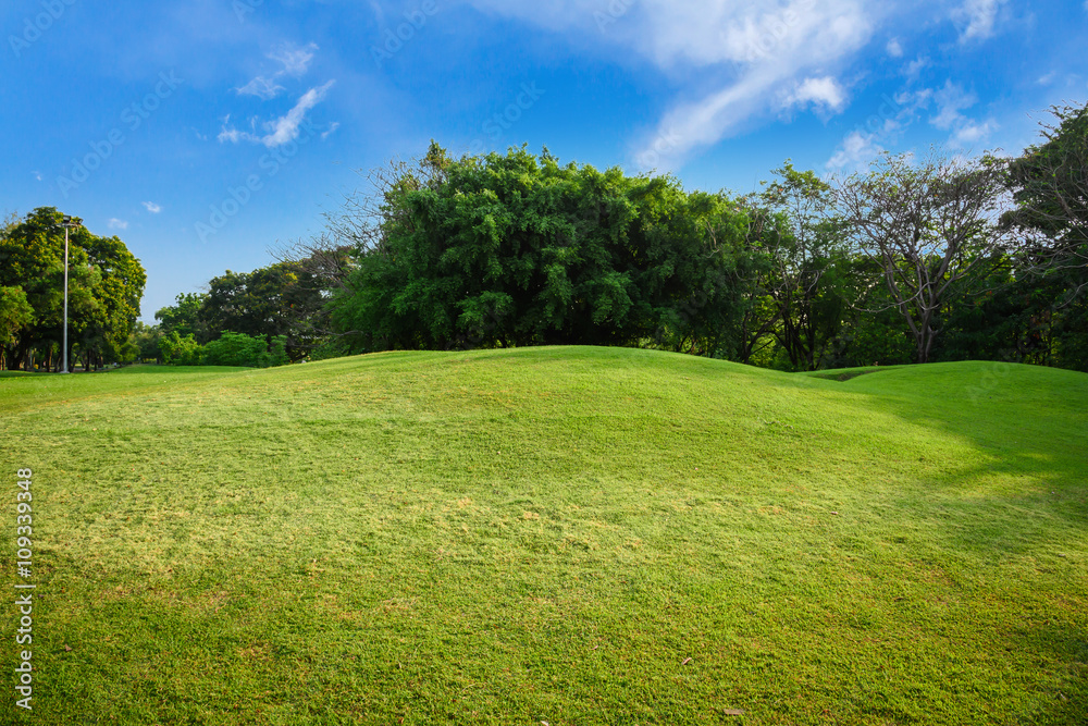 Obraz premium Green lawn with blue sky in park