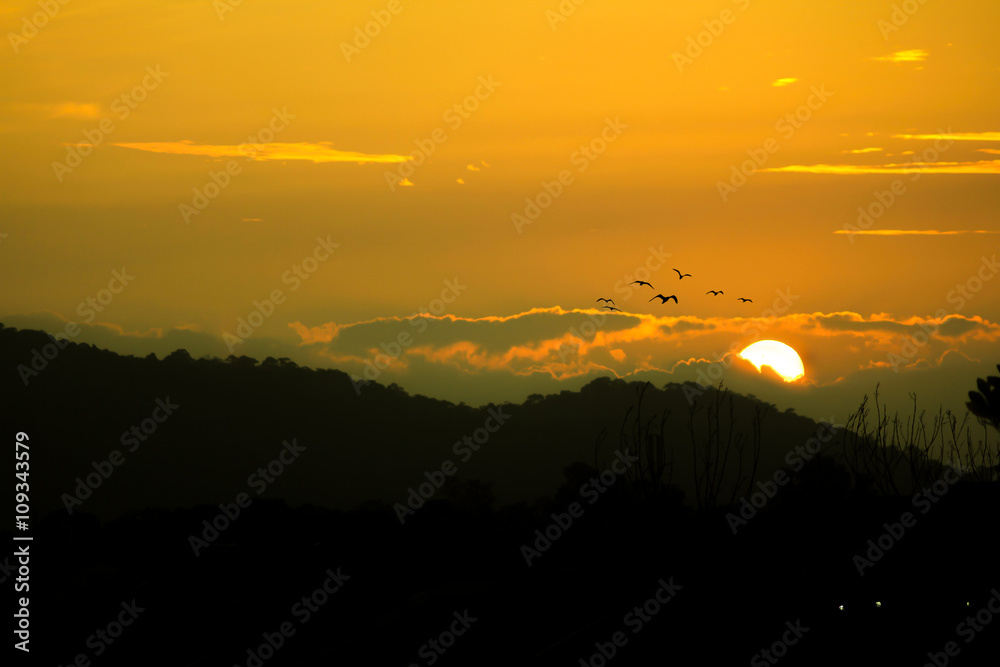 Obraz premium Sun goes down with flying bird