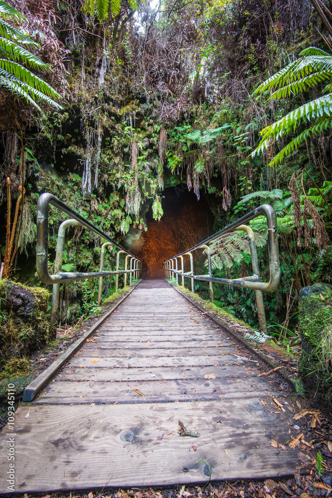 Obraz premium lava Tube