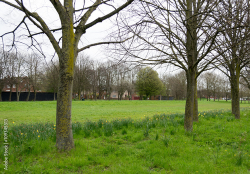 Beautiful european countryside - field and trees