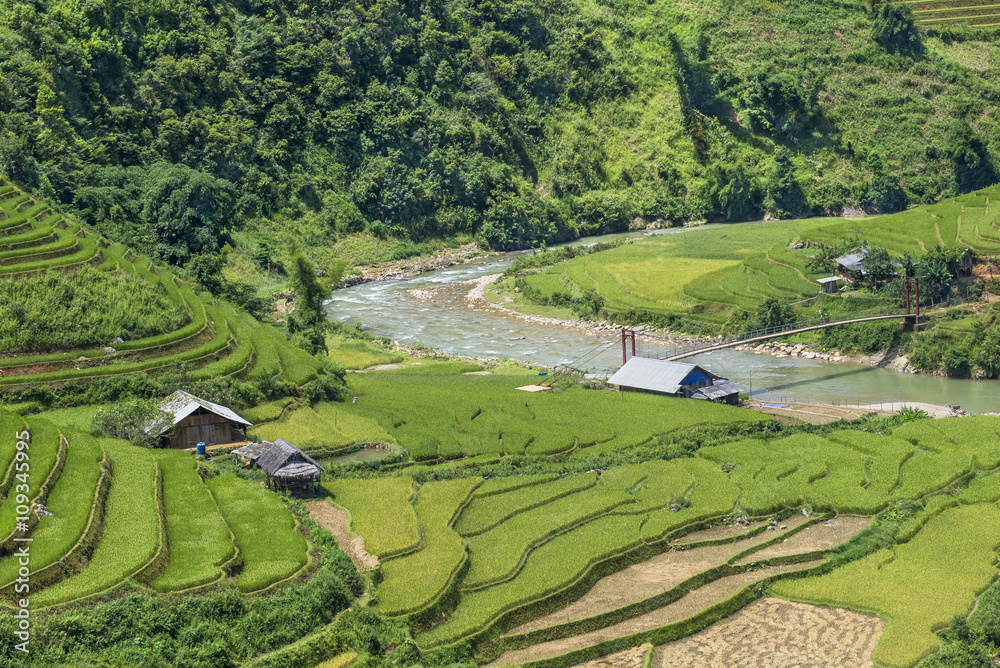 The beautiful rice paddy field during the trip from HANOI to SAPA, VIETNAM.