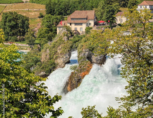 Rhine Falls in summer