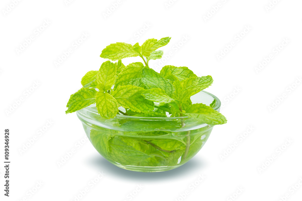 Mint in the transparent glass bowl isolated on white background, Mint in the transparent glass bowl isolated on white background,