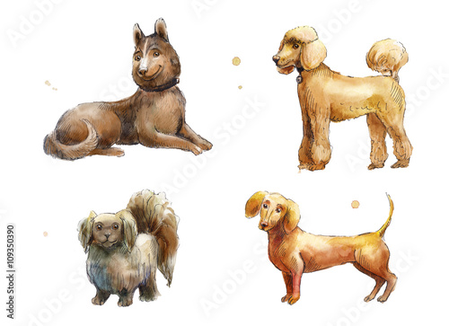Set of watercolor dogs photo