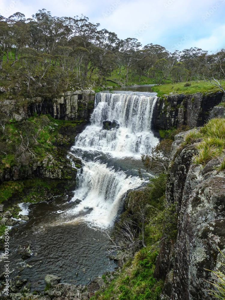 Ebor Falls. A cascading waterfall running over basalt in Guy Fawkes River National Park, NSW Australia.